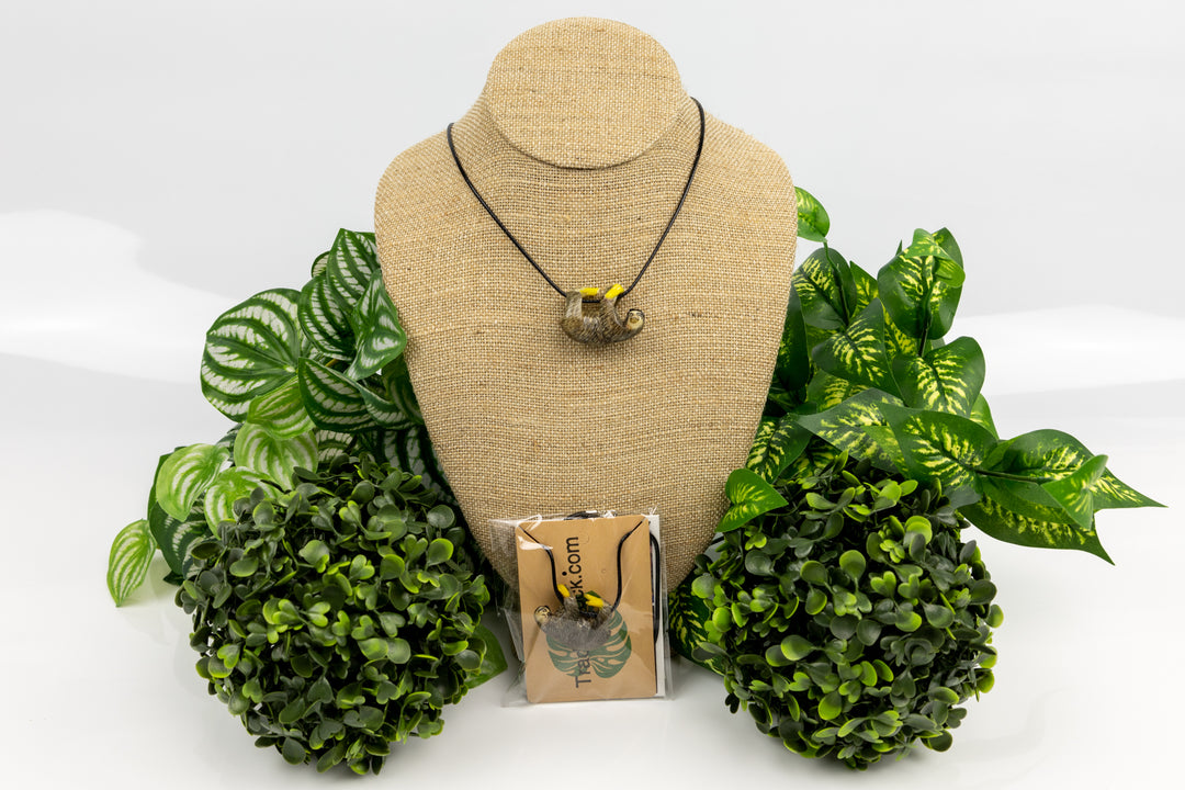 Grey sloth tagua on cardboard