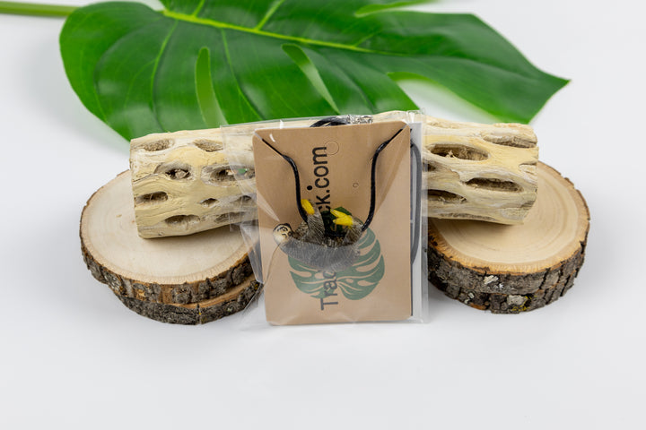 Grey sloth tagua on fabric