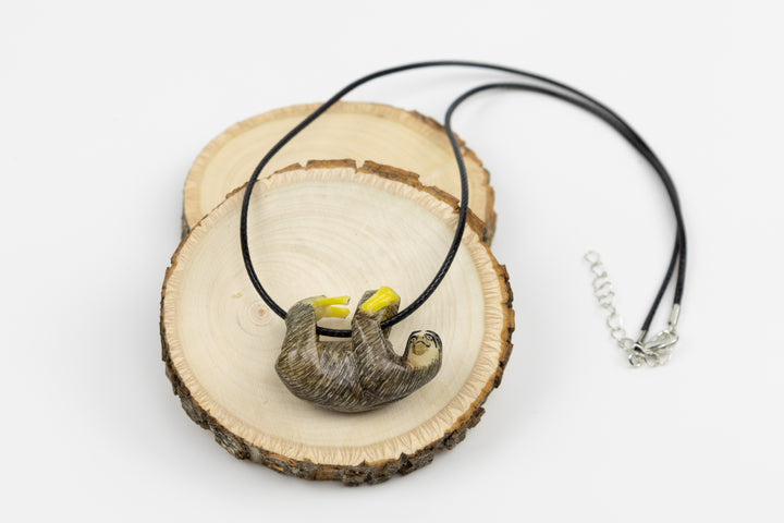 Grey sloth tagua on bust display