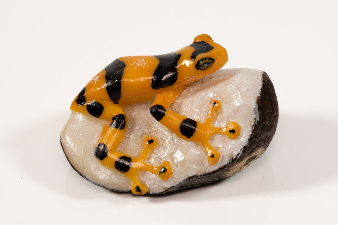 Panamanian Golden Frog Tagua Carving