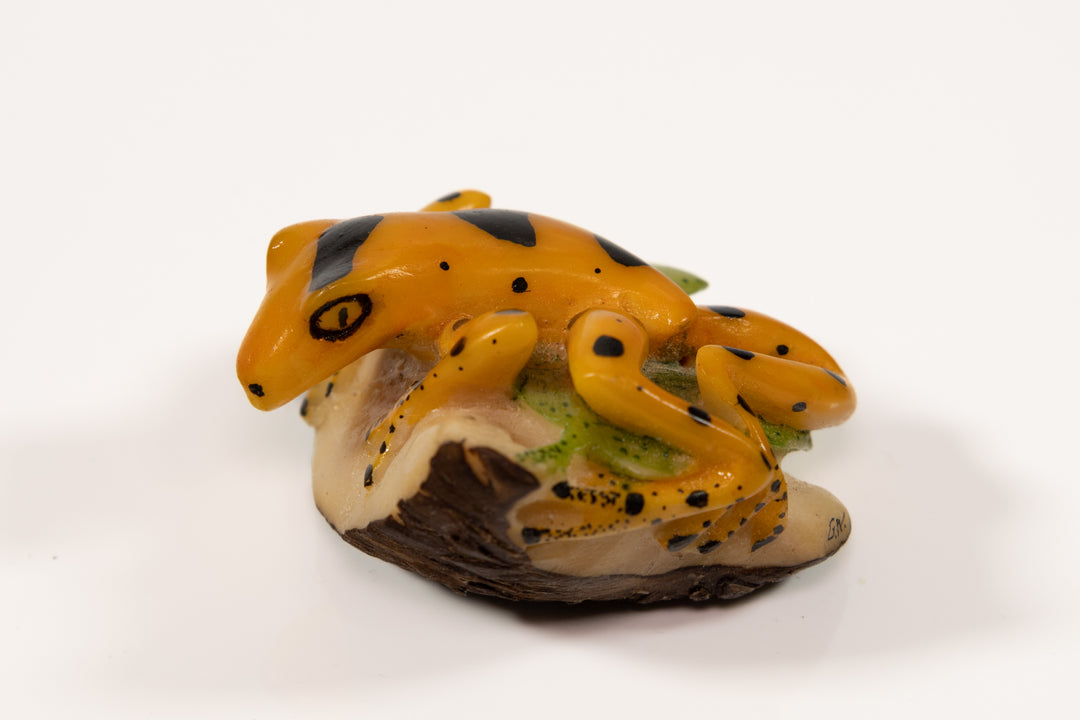 Panamanian Golden Frog Tagua Carving