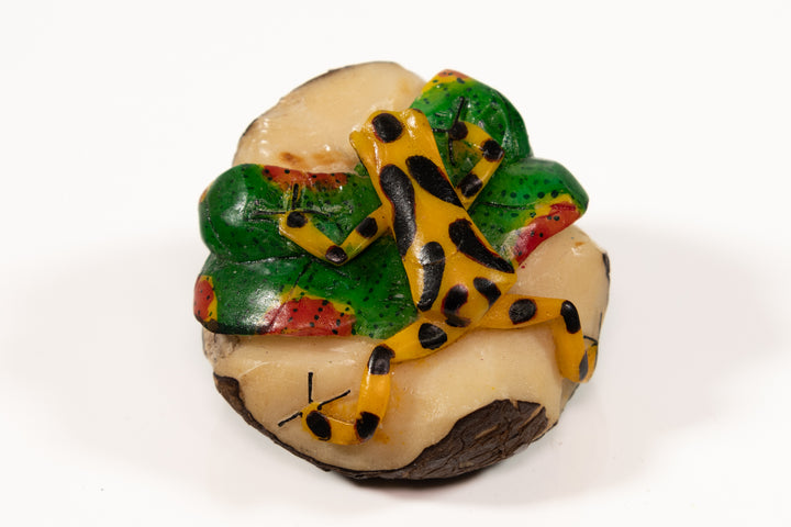 Panamanian Golden Frog Tagua Carving