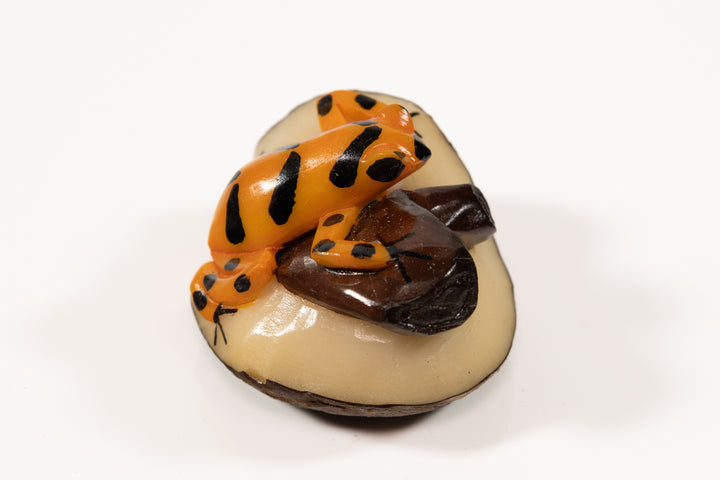 Panamanian Golden Frog Tagua Carving