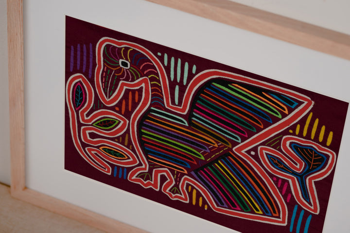 Red Swan Preparing to take Flight Mola