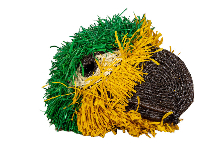 Yellow-Crowned Amazon Parrot Mask