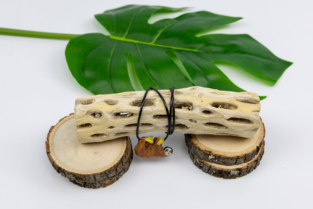 Sloth tagua with wood natural accessory