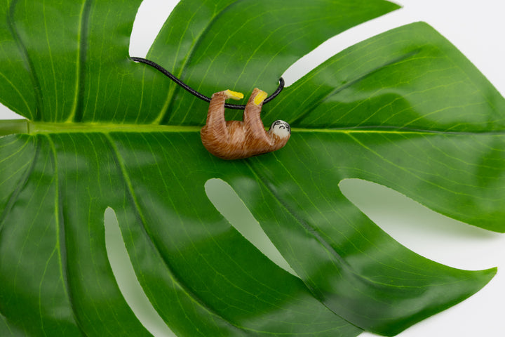 Sloth tagua on display with greenery
