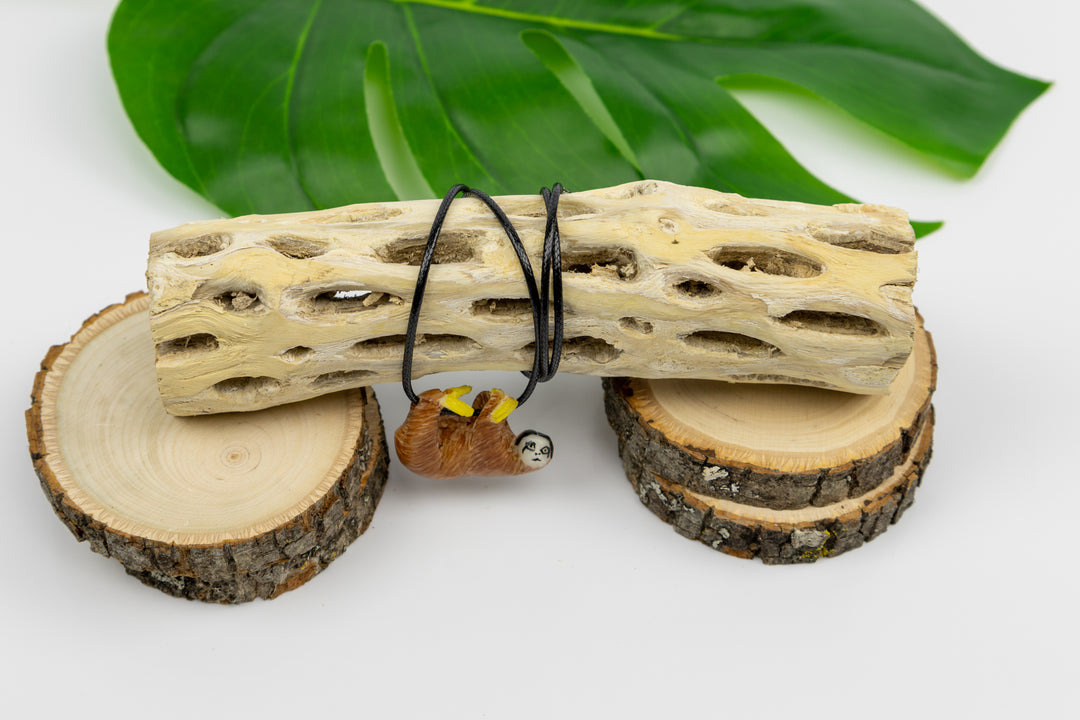 Sloth tagua on bust display, orange with yellow markings