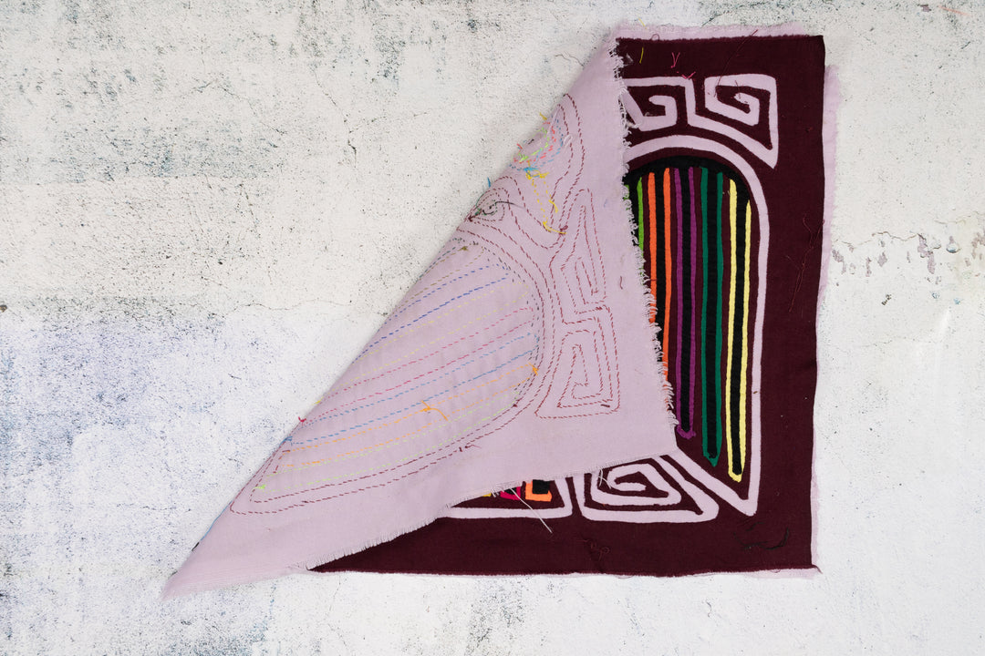 Andean Condor Bird Mola