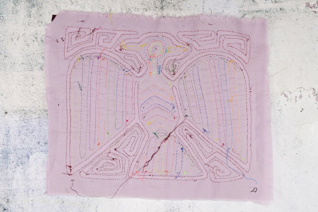 Andean Condor Bird Mola