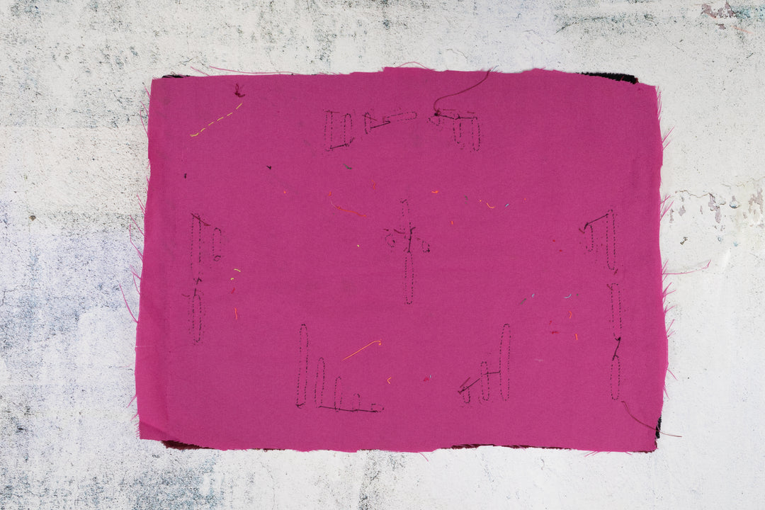 Aerial Bird Combat Mola