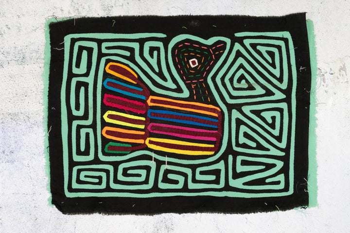 Rainbow Feather Pigeon Bird Mola