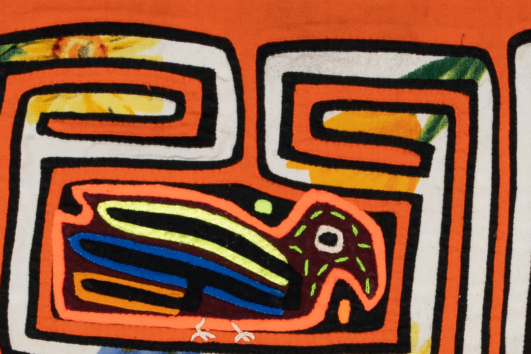Orange And White Pigeon Bird Mola