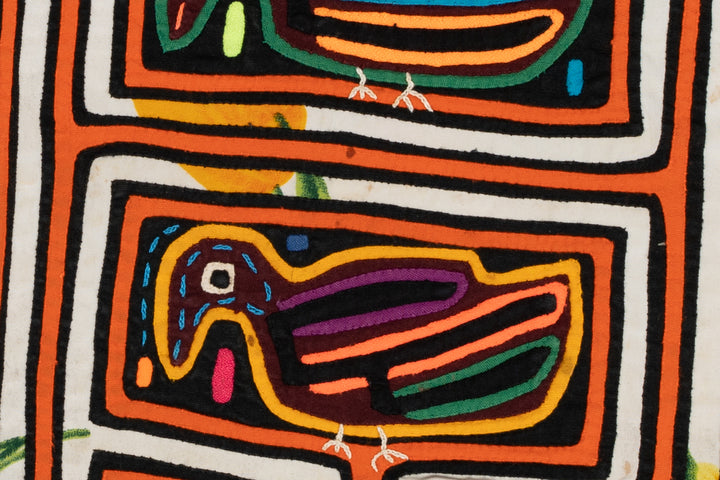 Orange And White Pigeon Bird Mola