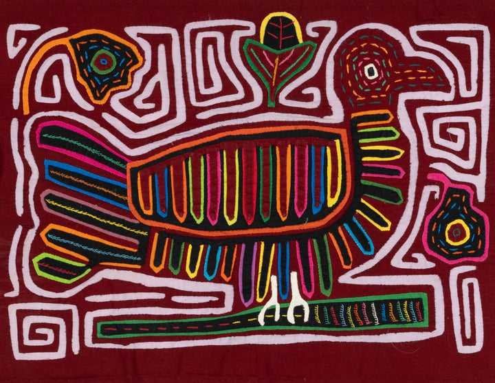 Rainbow Peace Dove Pigeon Bird Mola