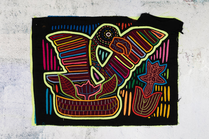 Rainbow Parrot Bird Follow Me Mola