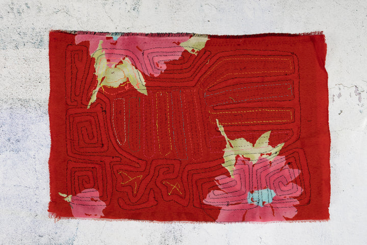 Vintage Pigeon Bird Background Material Mola