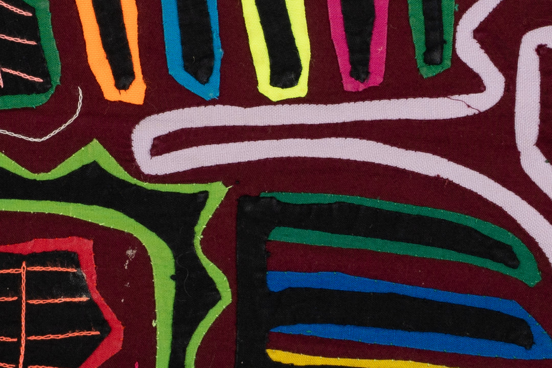 Andean Condor Bird Mola