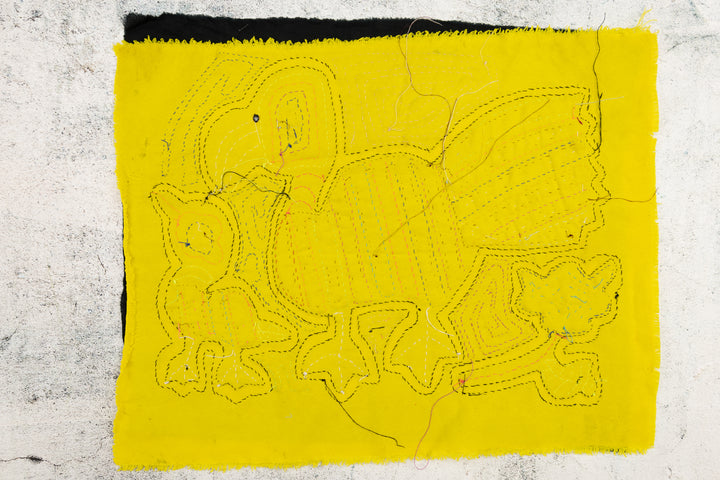 Mother Bird And Chick Mola