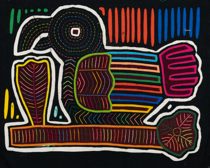 Rainbow Blackbird Mola