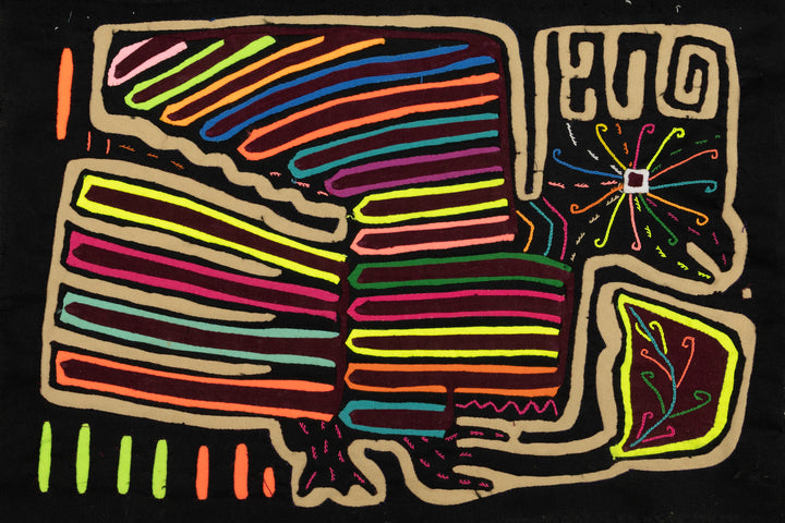 Rainbow Roadrunner Mola