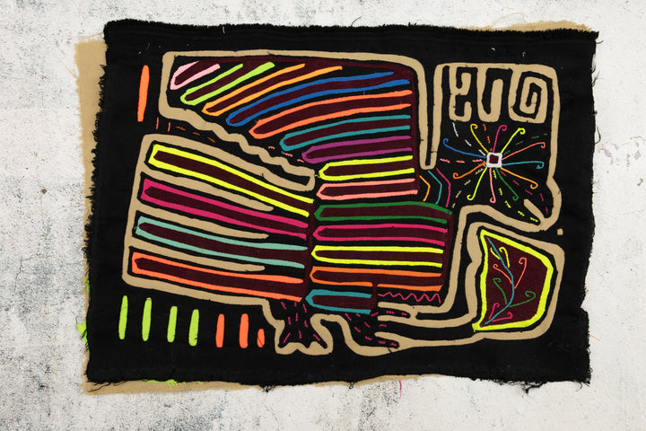 Rainbow Roadrunner Mola