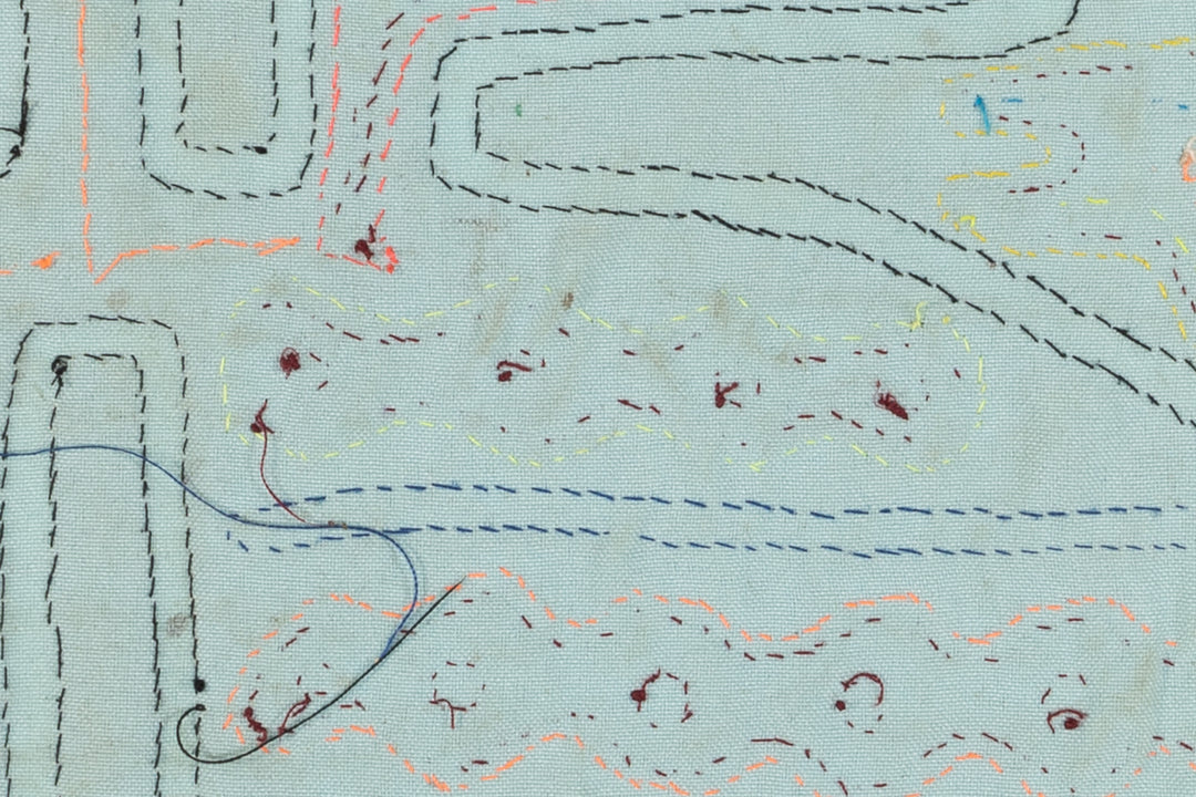 A Whatisit with Gecko Mola