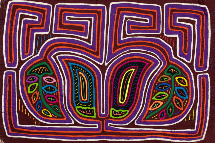 Legume Bloom Mola