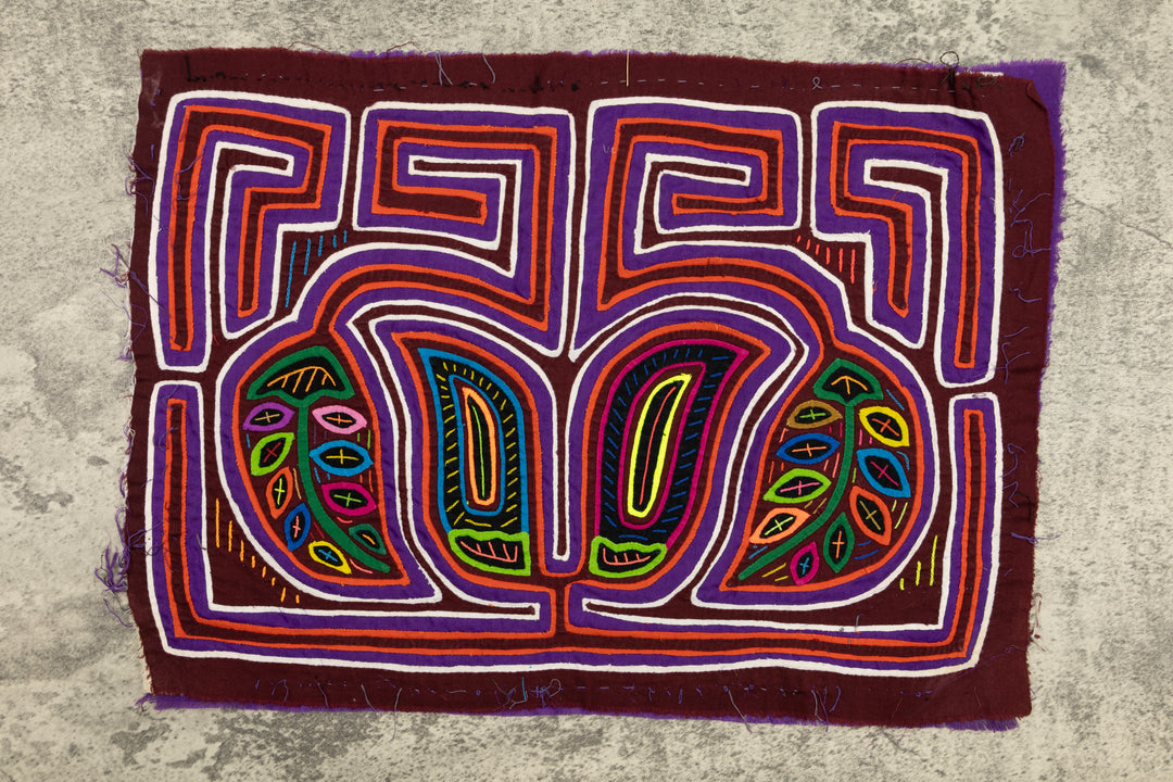 Legume Bloom Mola