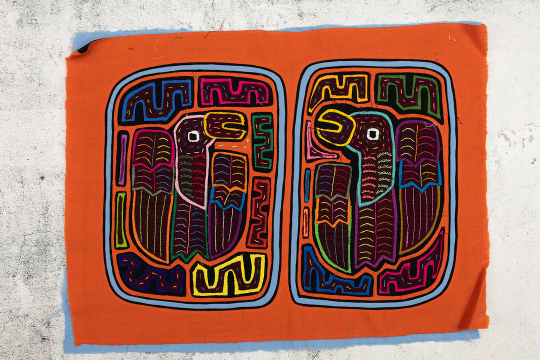 Orange Parrot Bird Mola
