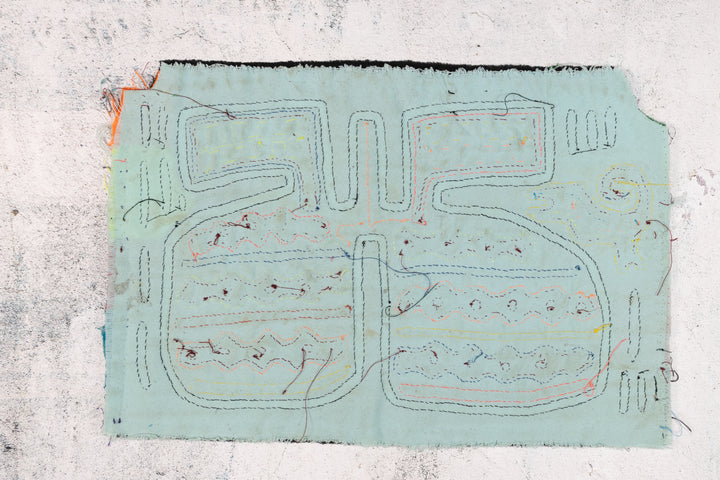 A Whatisit with Gecko Mola