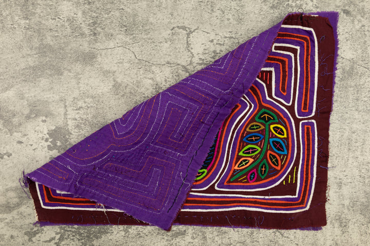 Legume Bloom Mola