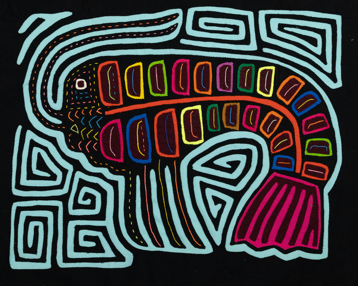 Ocean Shrimp Mola