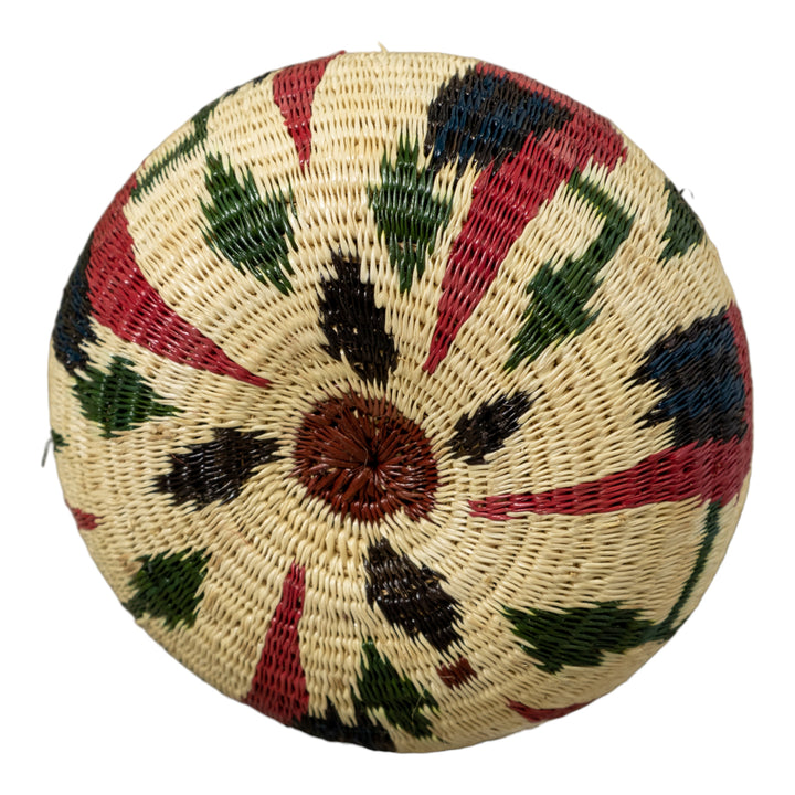 Small Macaw Party Rainforest Basket