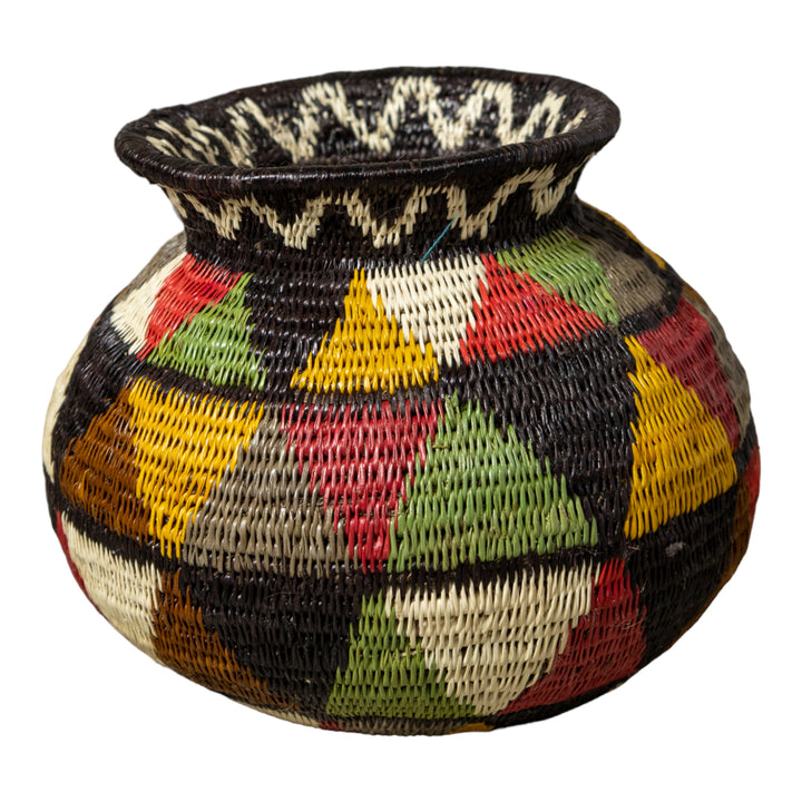 Disco Jungle Rainforest Basket