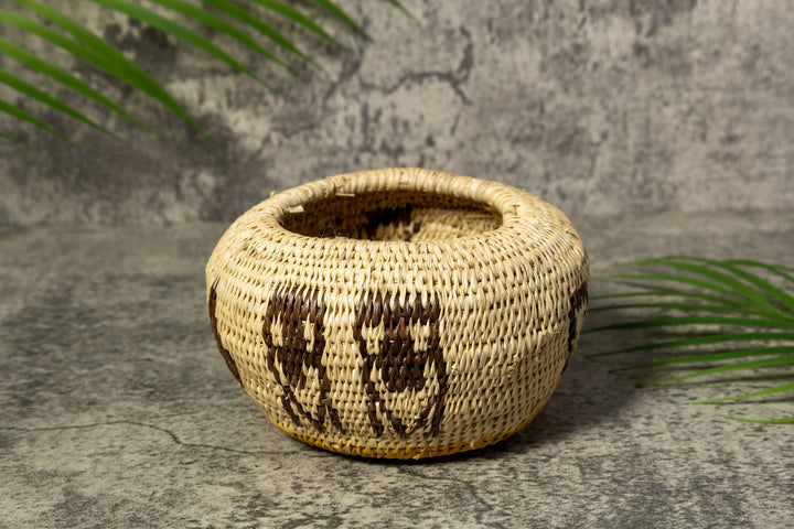 Owl Bird Rainforest Vintage Basket