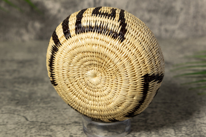 Black and White Rainforest Vintage Basket