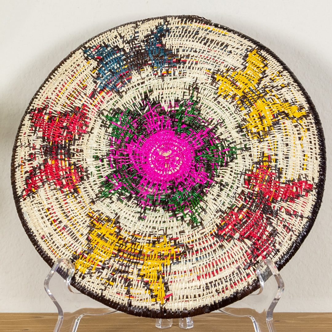 Rainbow of Color Butterfly Basket Plate