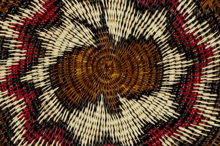 Radiating Butterfly Basket Plate