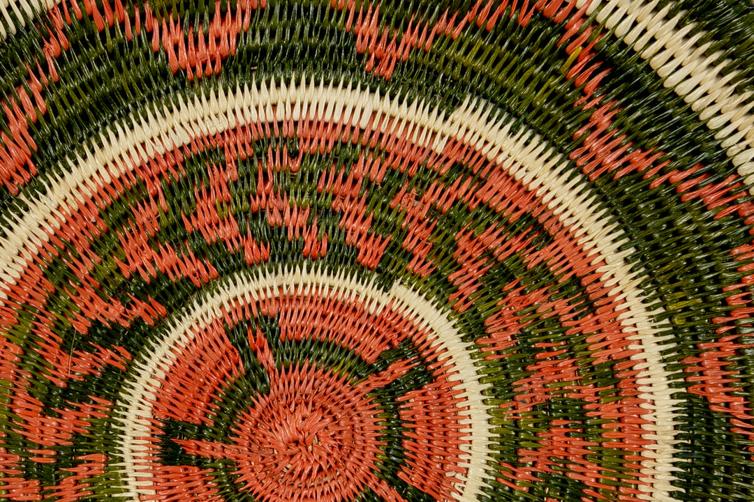 Bronze and Green Turtle Basket Plate