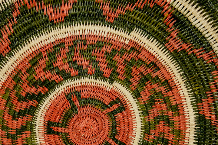 Bronze and Green Turtle Basket Plate