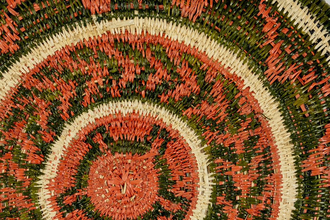 Bronze and Green Turtle Basket Plate