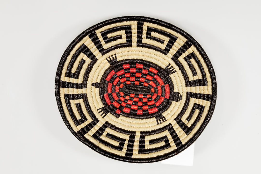 Galapagos Tortoise Basket Plate