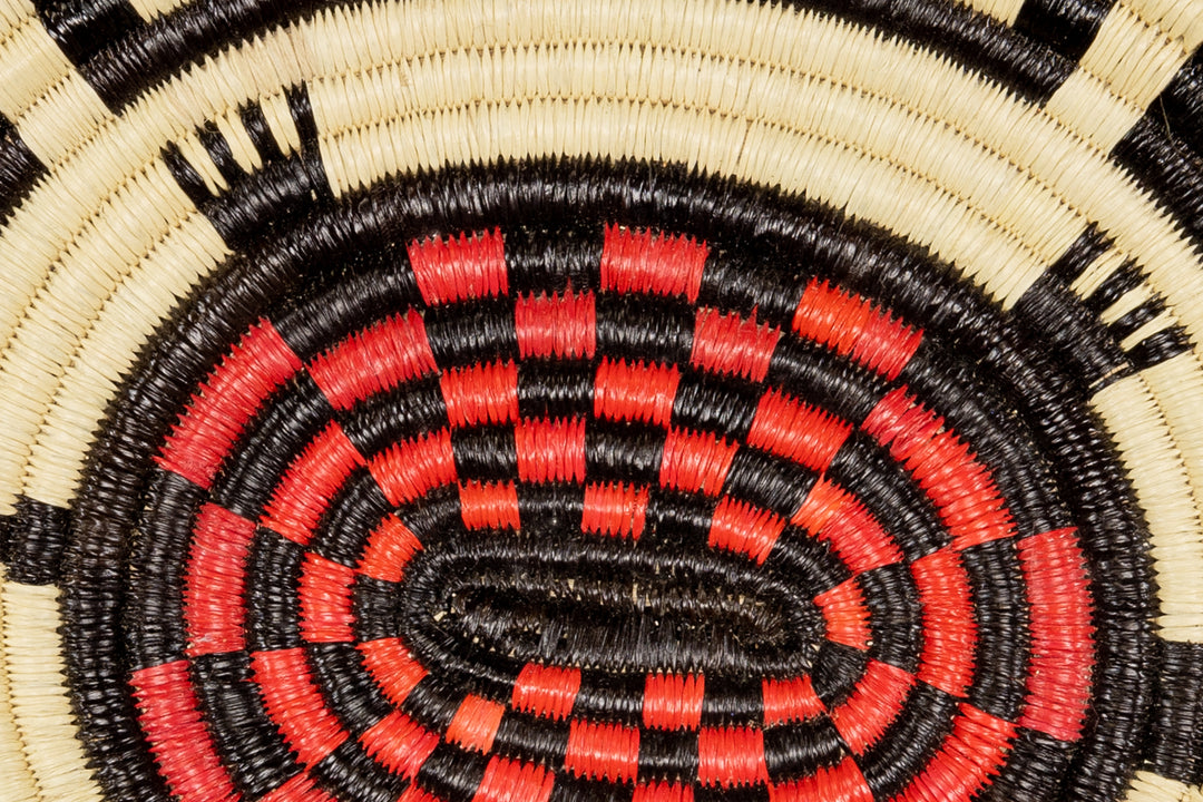 Galapagos Tortoise Basket Plate