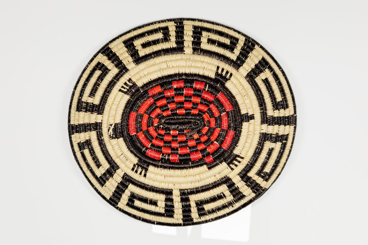 Galapagos Tortoise Basket Plate