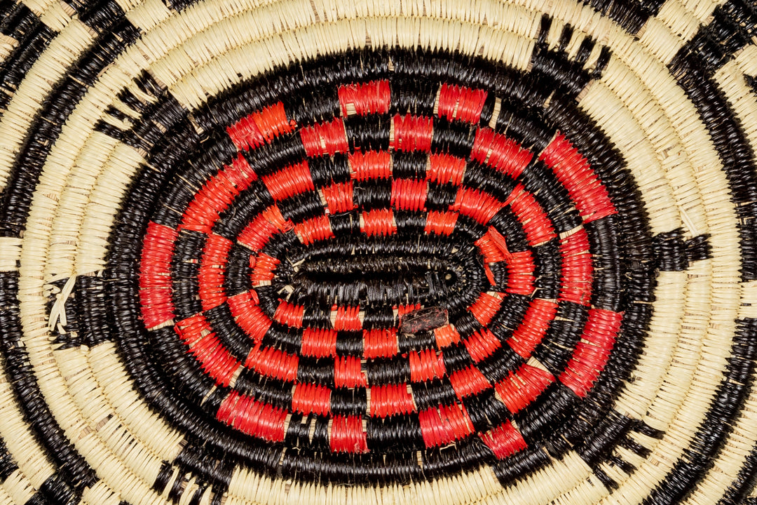 Galapagos Tortoise Basket Plate