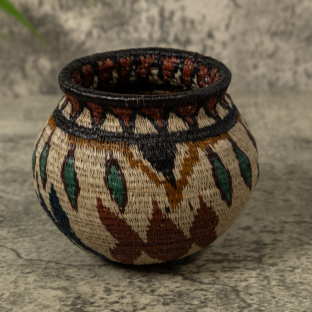 Butterfly Rainforest Basket