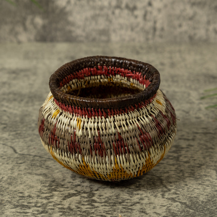 Small Multi-Color Rainforest Basket