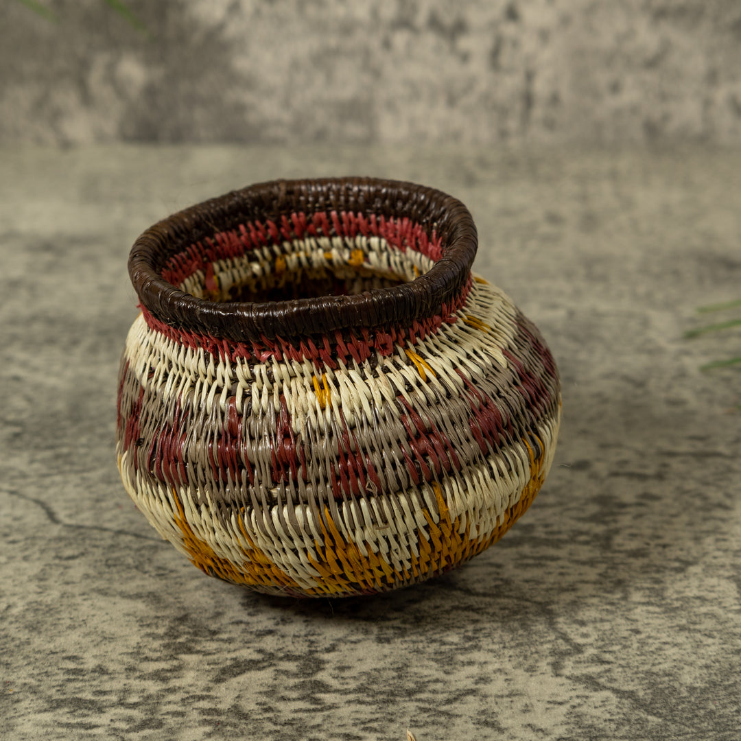 Small Multi-Color Rainforest Basket