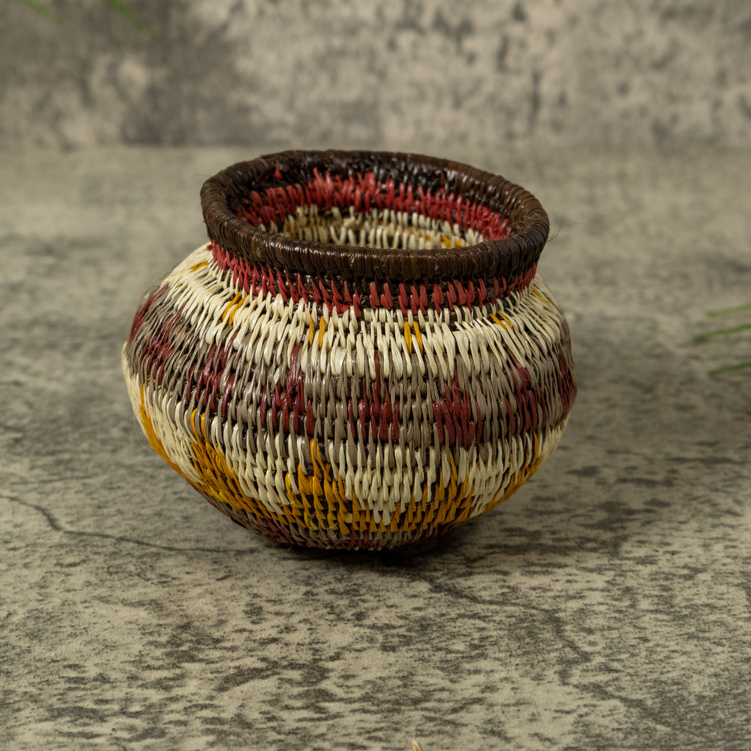 Small Multi-Color Rainforest Basket